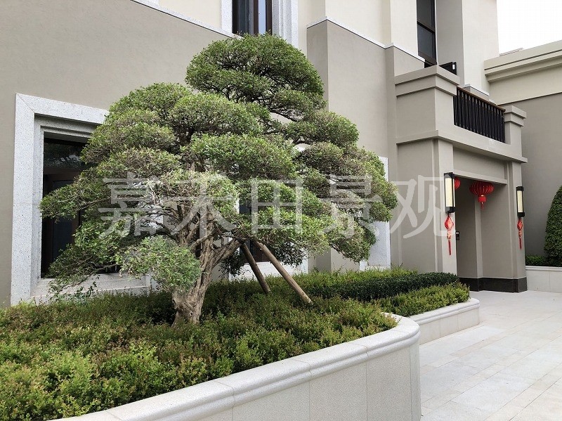 如何選擇專業(yè)的景觀設計師或施工隊伍？